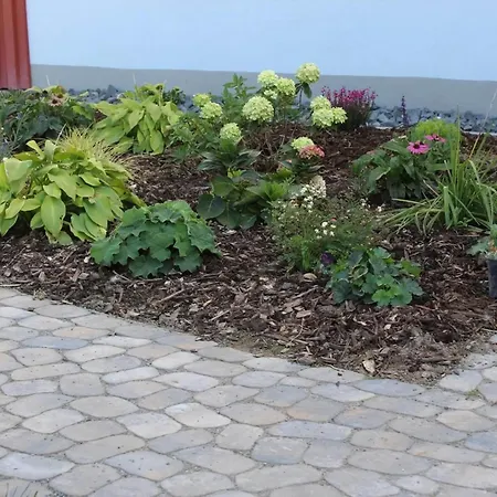 In Mit Terrasse Und Garten